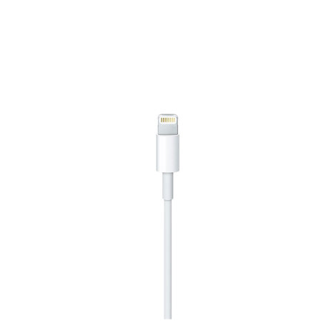 Apple USB Type-C na Lightning cabel 1m