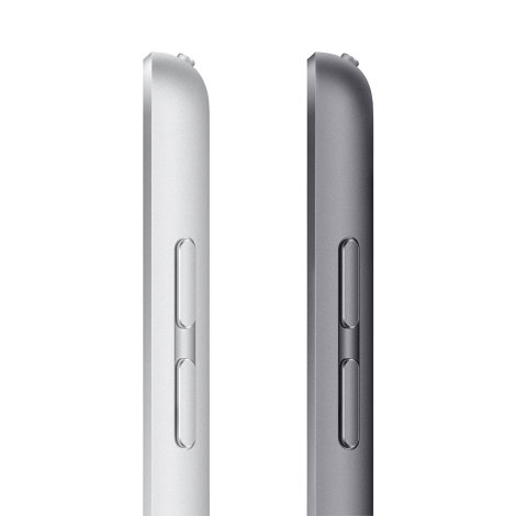 iPad 9 (2021) 10,2 WiFi 64GB sivi