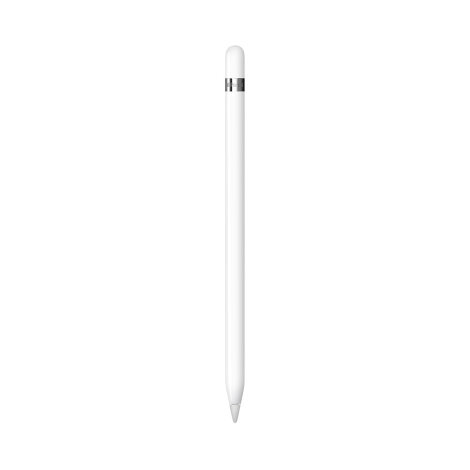 Apple Pencil 1st Gen + USB-C adapter