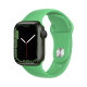 Hoco Strap Apple watch 38/40/41mm zelena