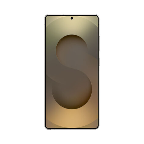 Samsung Galaxy S25 Ultra 12/1TB Titanium gray