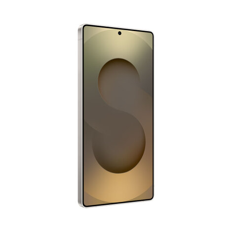 Samsung Galaxy S25 Ultra 12/1TB Titanium gray